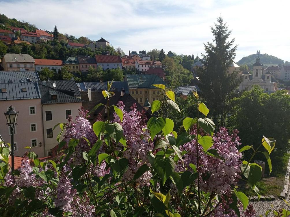 Apartment Melita - The Very Centre Of Town Banska Stiavnica Exterior foto